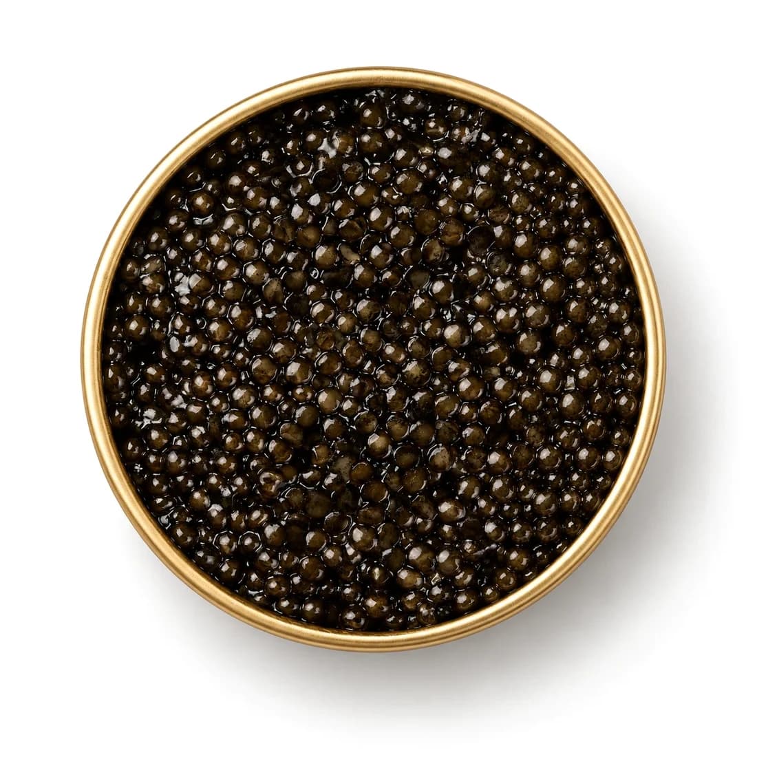 Sevruga caviar in an open gold tin